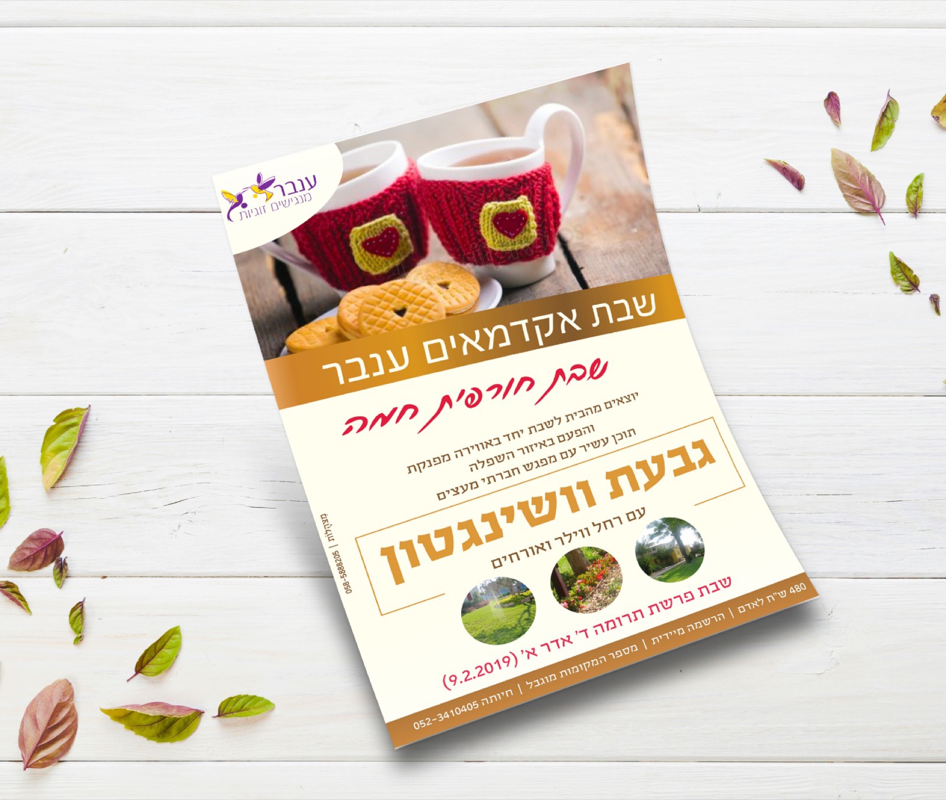 העבודה החדשה שלי